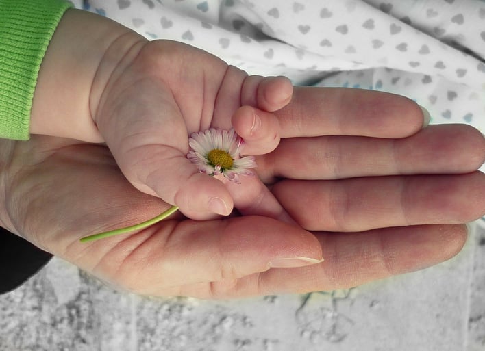 hands-105455_1920.jpg